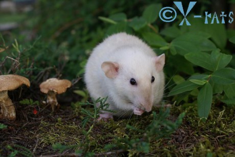 Trochu se umyju v té špíně