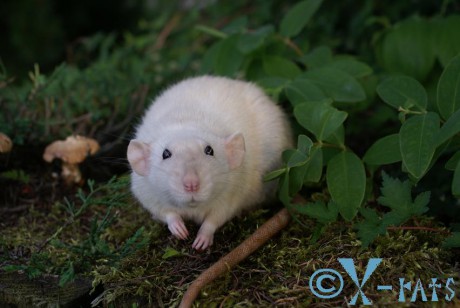 Si tu takhle sednu a počkám