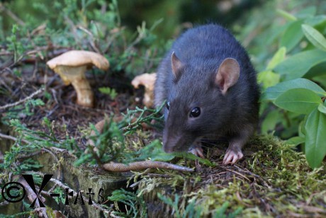 Jdu to tu trochu prozkoumat