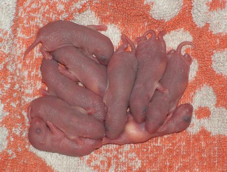 Naše "J" devítka :-)