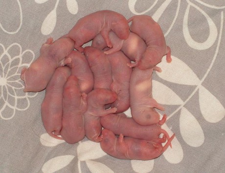 Naše páteční šťastná 13