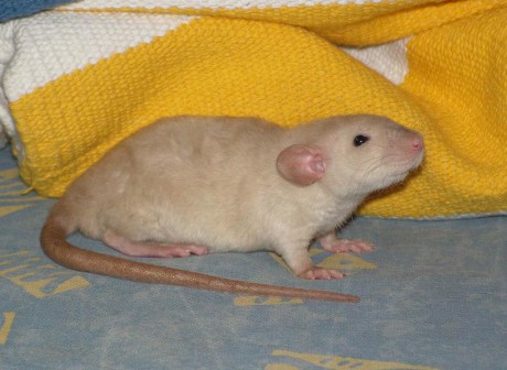 Takhle si chtěla zdřímnout při focení