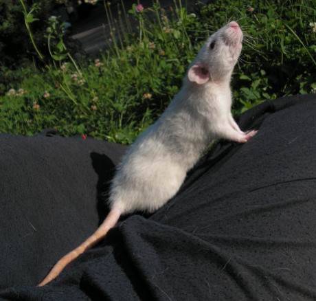 Vyjeme si na sluníčko