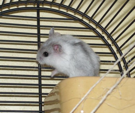 A takhle jsme zbarvený