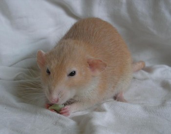 Vyfoceno ve věku 2 roky a 7 měsíců